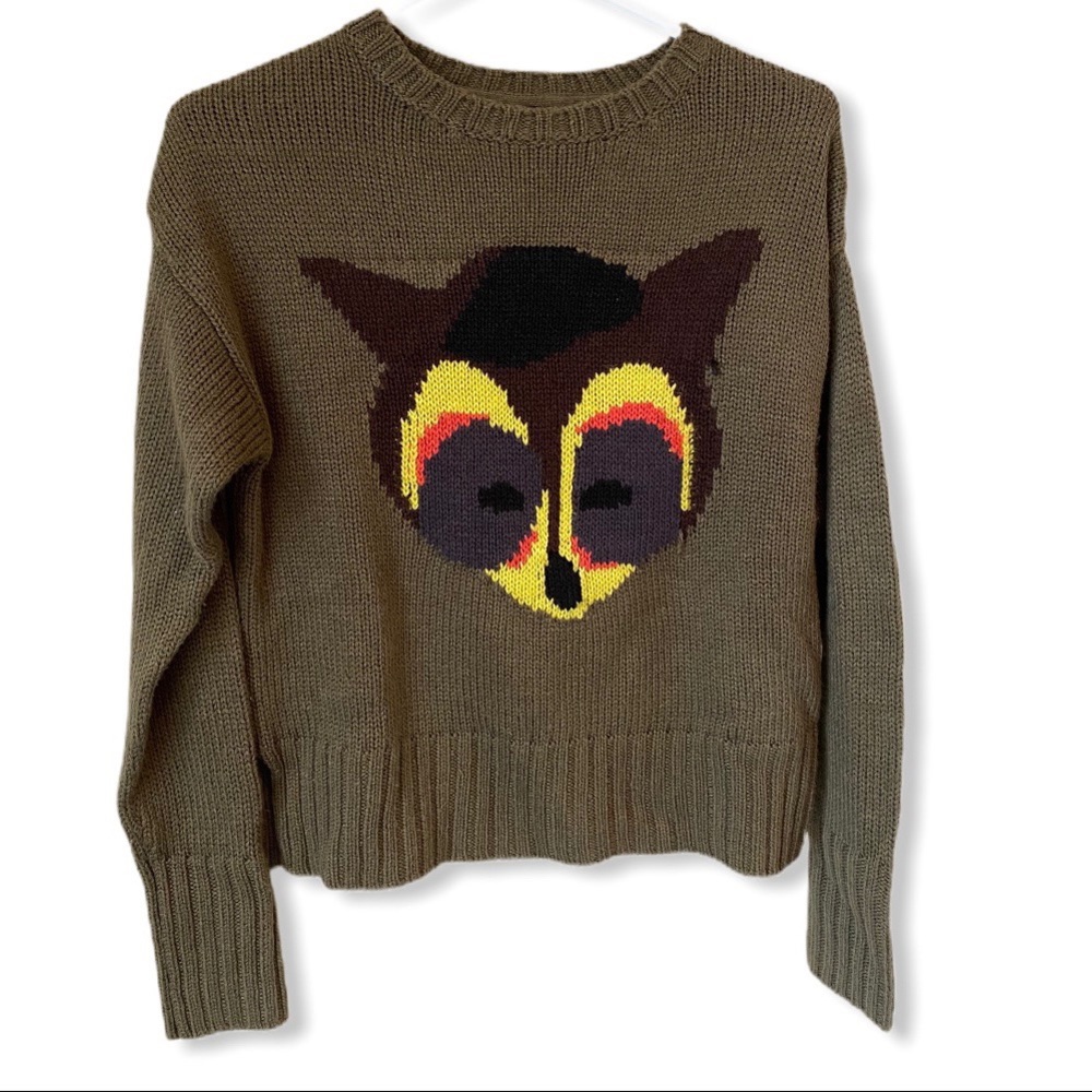 Knit crew neck sweater with Raccoon Image